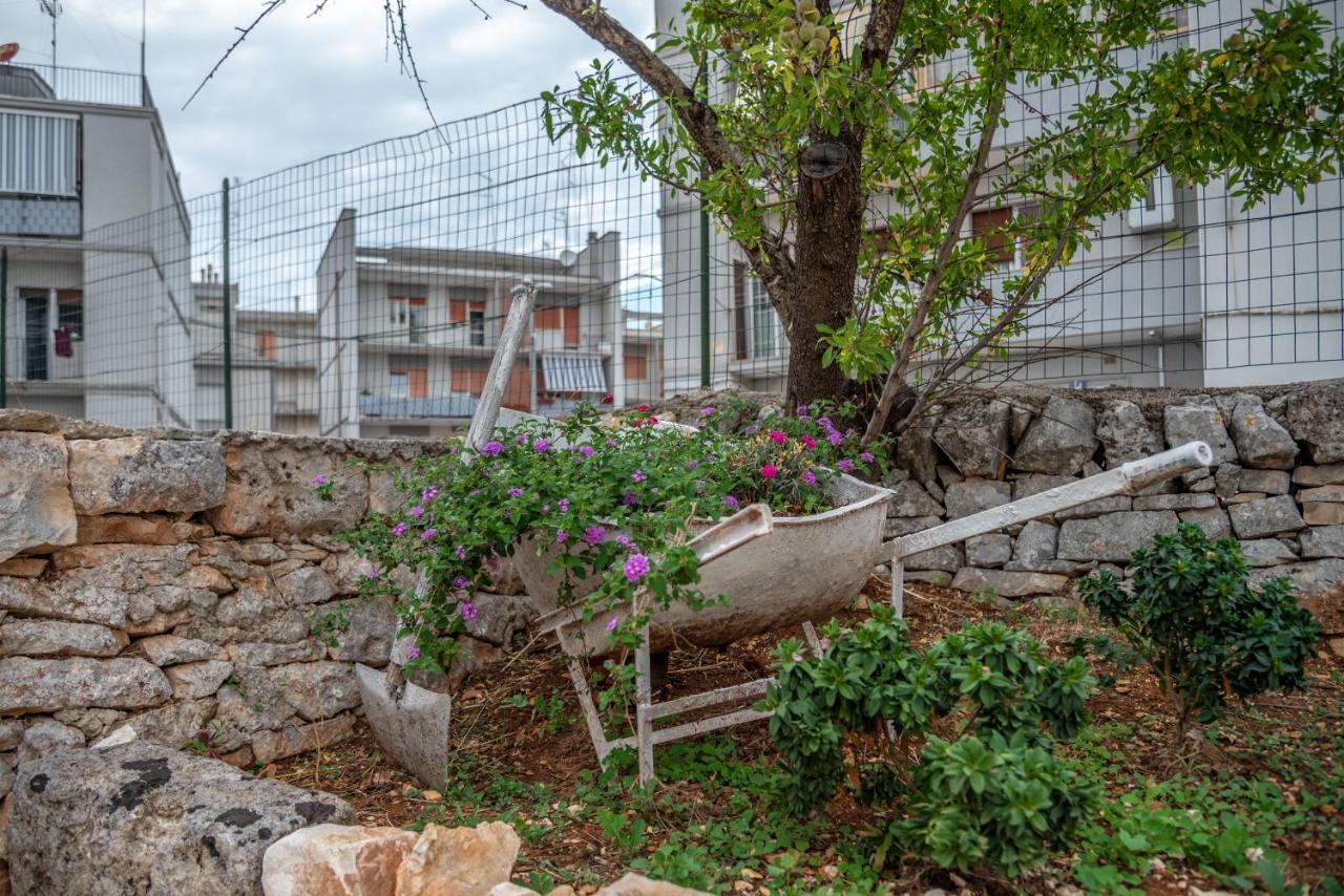 Trulli Dimora Palmisano Διαμέρισμα Locorotondo Εξωτερικό φωτογραφία