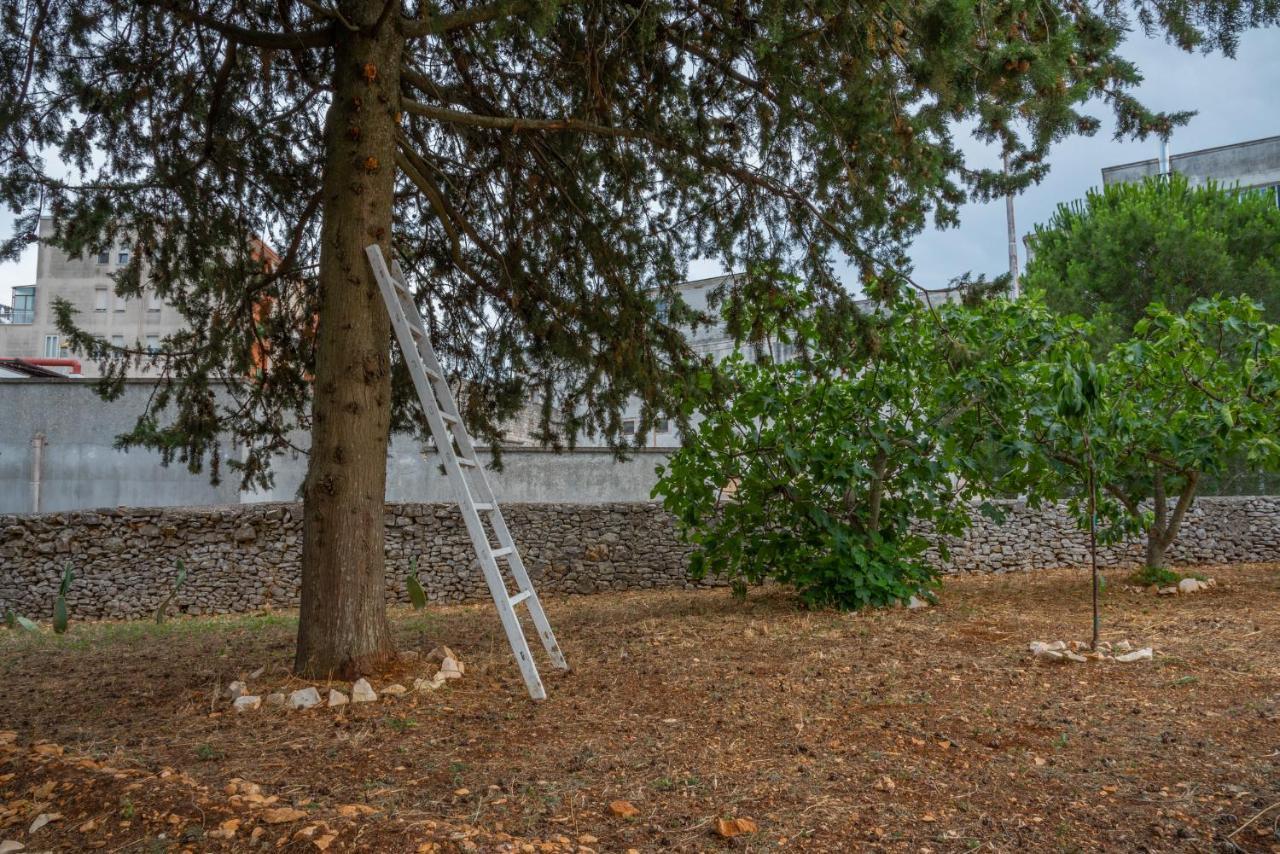 Trulli Dimora Palmisano Διαμέρισμα Locorotondo Εξωτερικό φωτογραφία